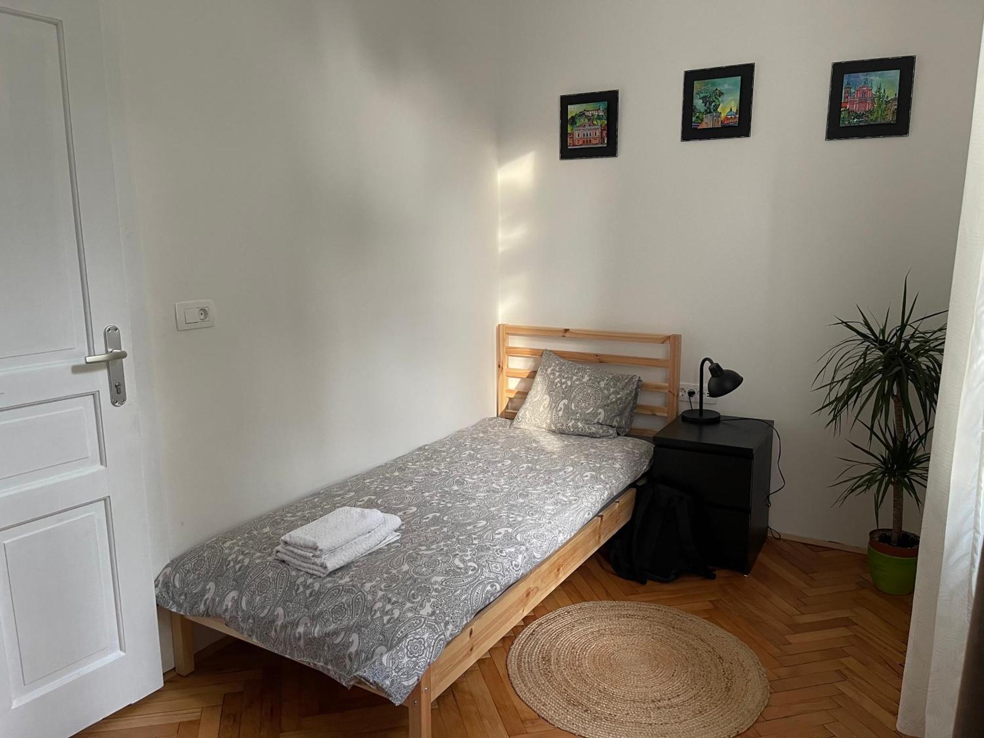 Pirc Apartment On Dunajska Street 卢布尔雅那 外观 照片