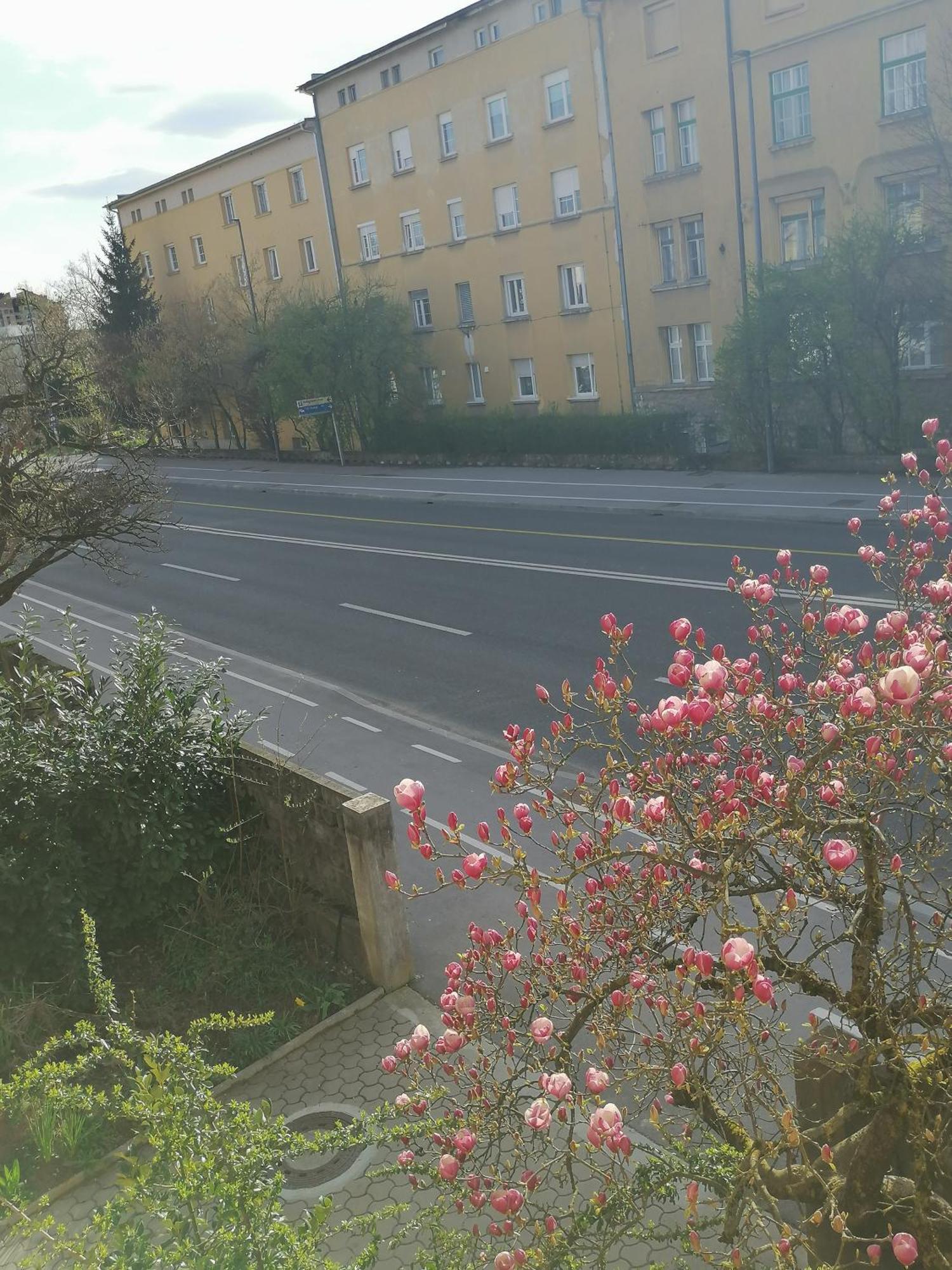Pirc Apartment On Dunajska Street 卢布尔雅那 外观 照片